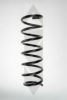 SPIDAN 56943 Coil Spring